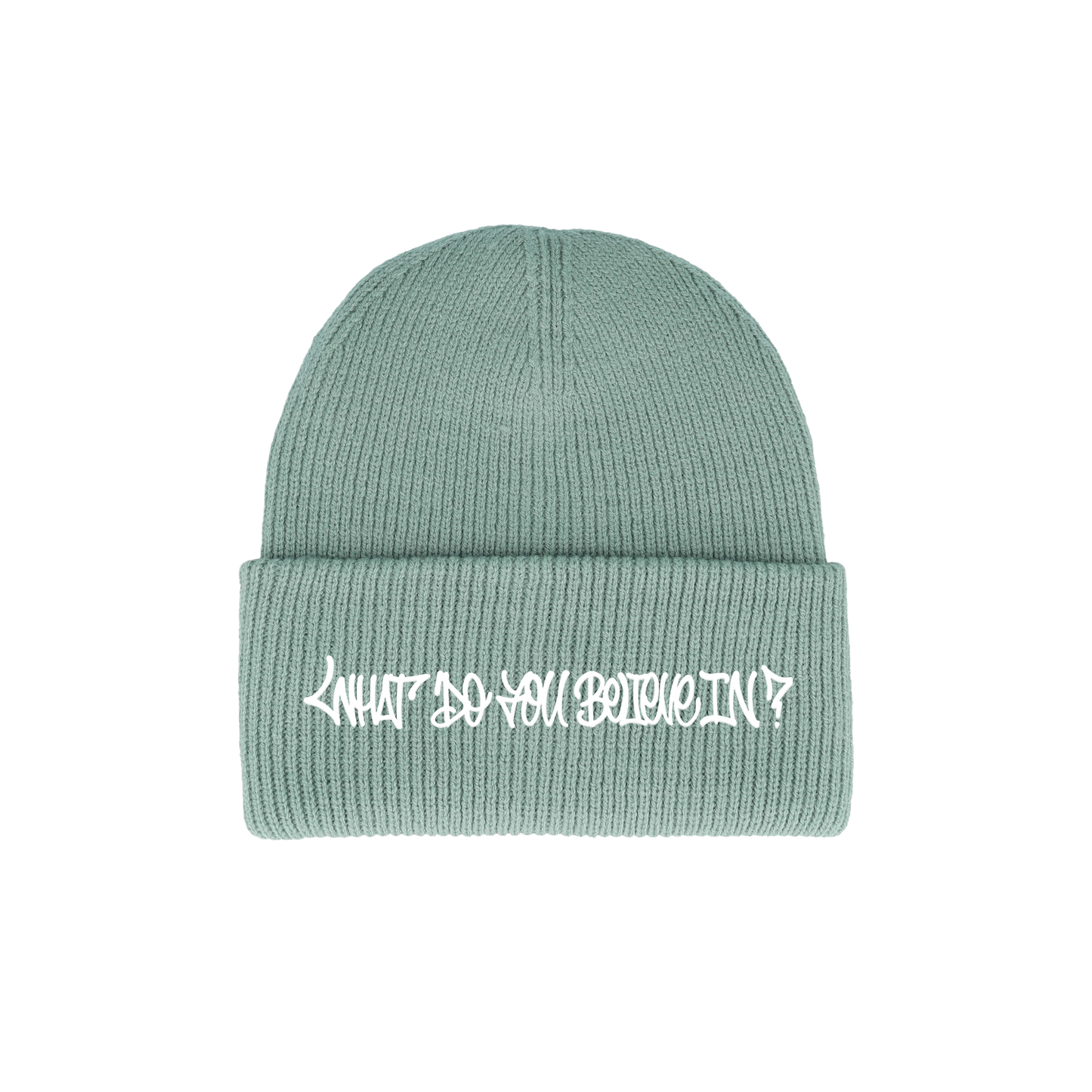 What Do You Believe In? Beanie